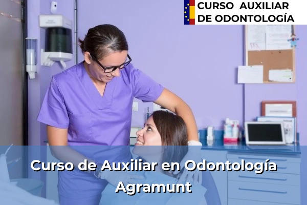 Curso de Auxiliar en Odontología en Agramunt