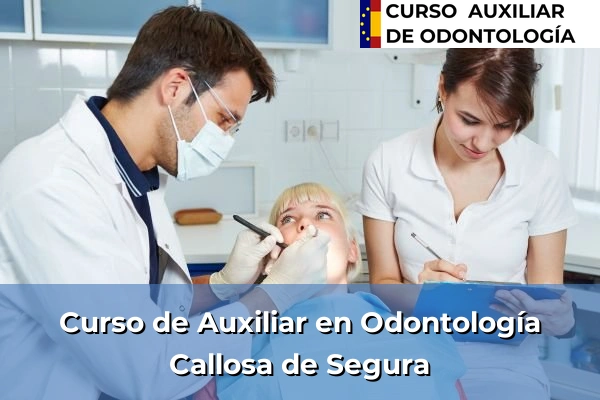 Curso de Auxiliar en Odontología en Callosa de Segura