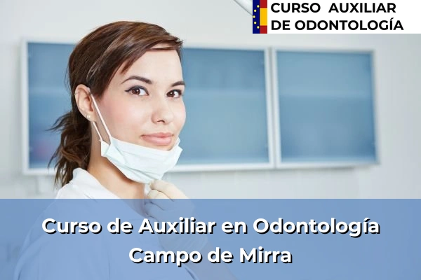 Curso de Auxiliar en Odontología en Campo de Mirra