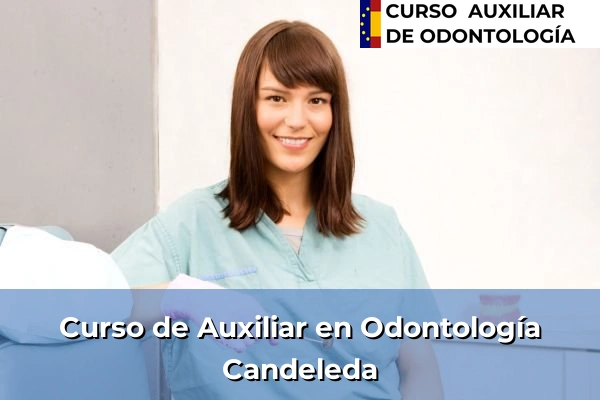 Curso de Auxiliar en Odontología en Candeleda