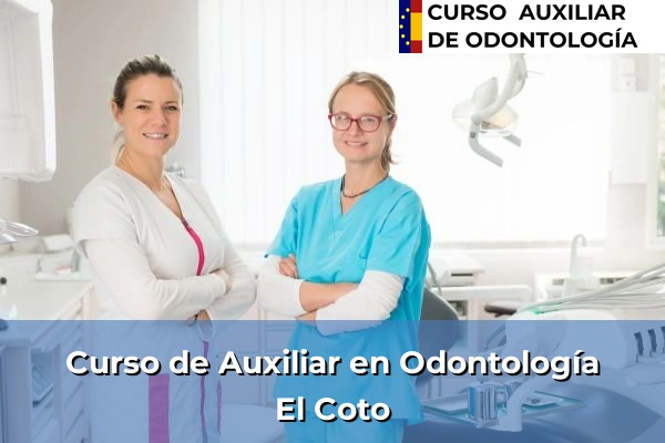 Curso de Auxiliar en Odontología en Señorío de Muriel 21 Curso de Auxiliar en Odontología en El Coto