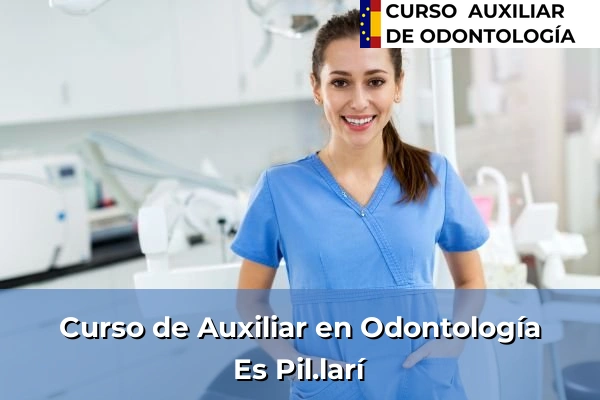 Curso de Auxiliar en Odontología en Es Pil.larí