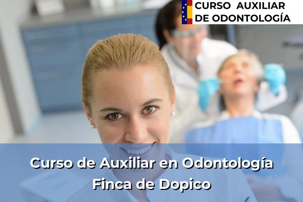 Curso de Auxiliar en Odontología en Finca de Dopico