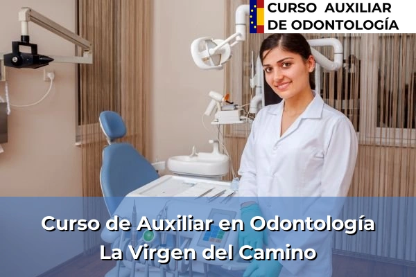 Curso de Auxiliar en Odontología en La Virgen del Camino