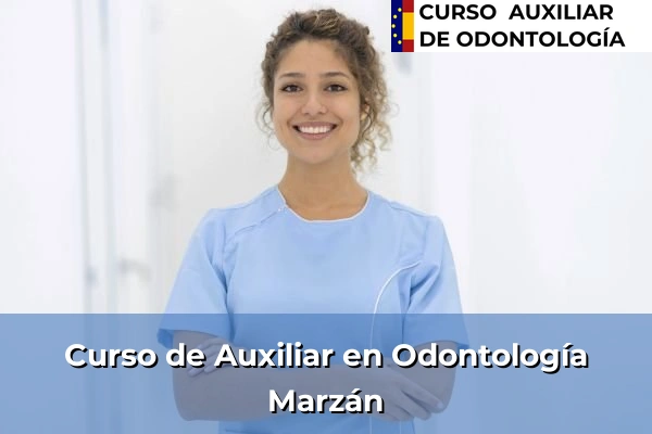 Curso de Auxiliar en Odontología en Marzán