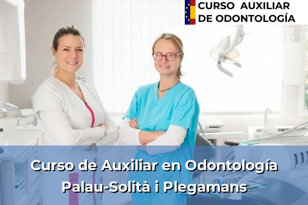 Curso de Auxiliar en Odontología en Palau-Solità i Plegamans