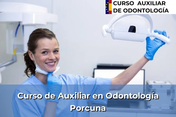 Curso de Auxiliar en Odontología en Porcuna