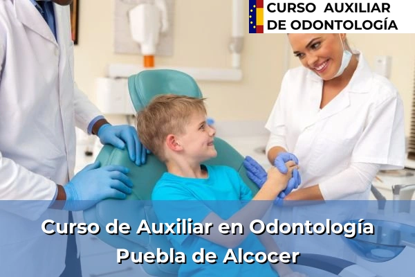Curso de Auxiliar en Odontología en Puebla de Alcocer