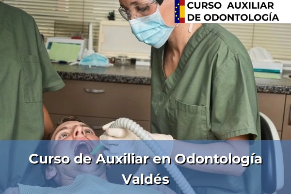 Curso de Auxiliar en Odontología en Valdés