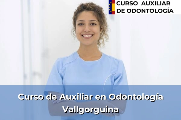 Curso de Auxiliar en Odontología en Vallgorguina